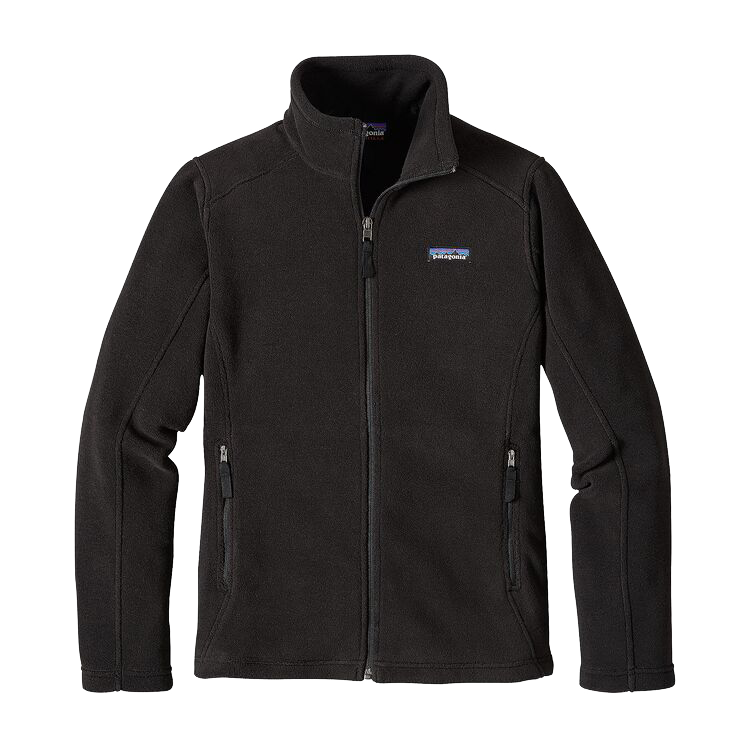 Patagonia Women's Synchilla Classic