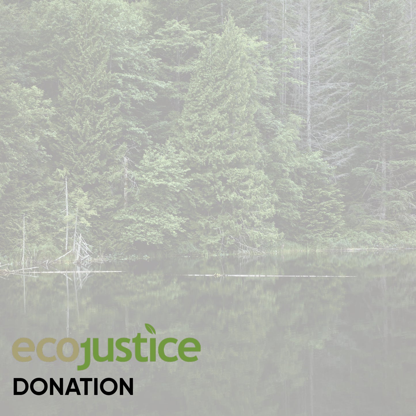 EcoJustice $25 Donation